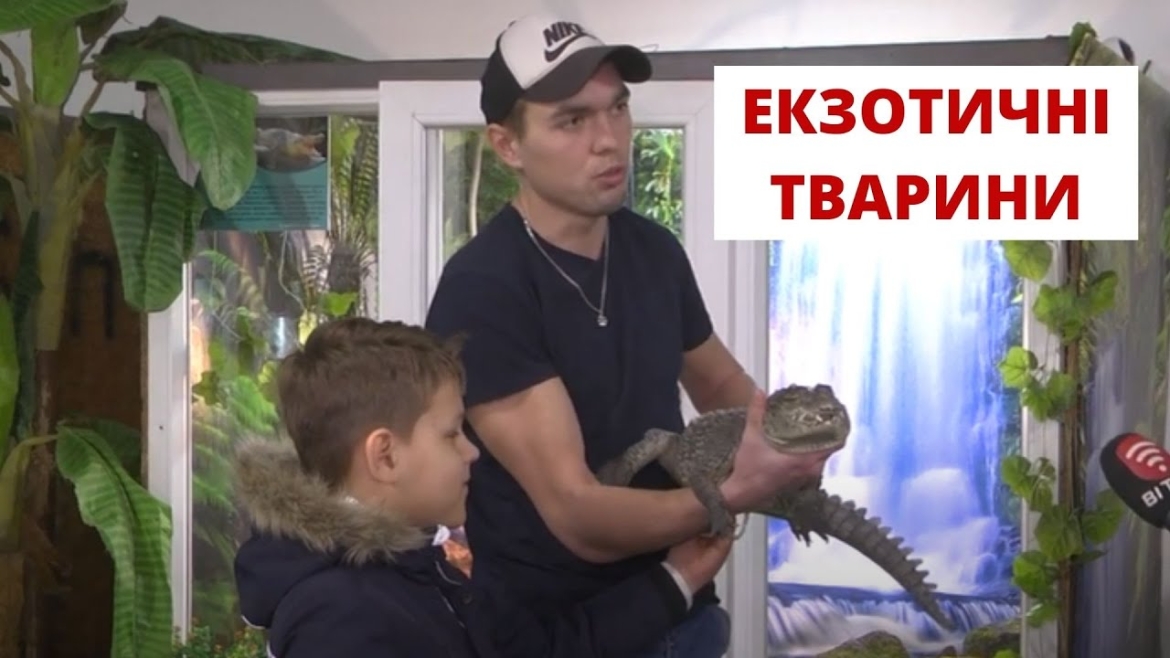 Embedded thumbnail for У Вінниці готові прихистити будь-яку екзотичну тварину - від черепахи до крокодила