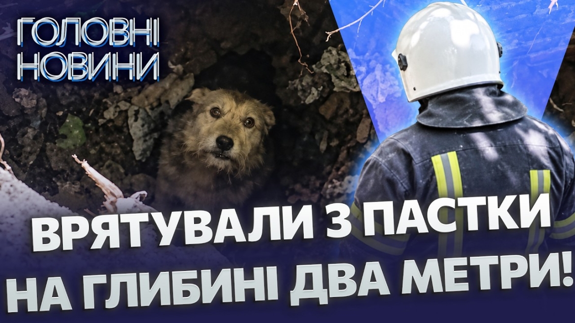Embedded thumbnail for Собака провалився у старий колодязь: його гавкіт почула перехожа. ДСНС провела операцію порятунку