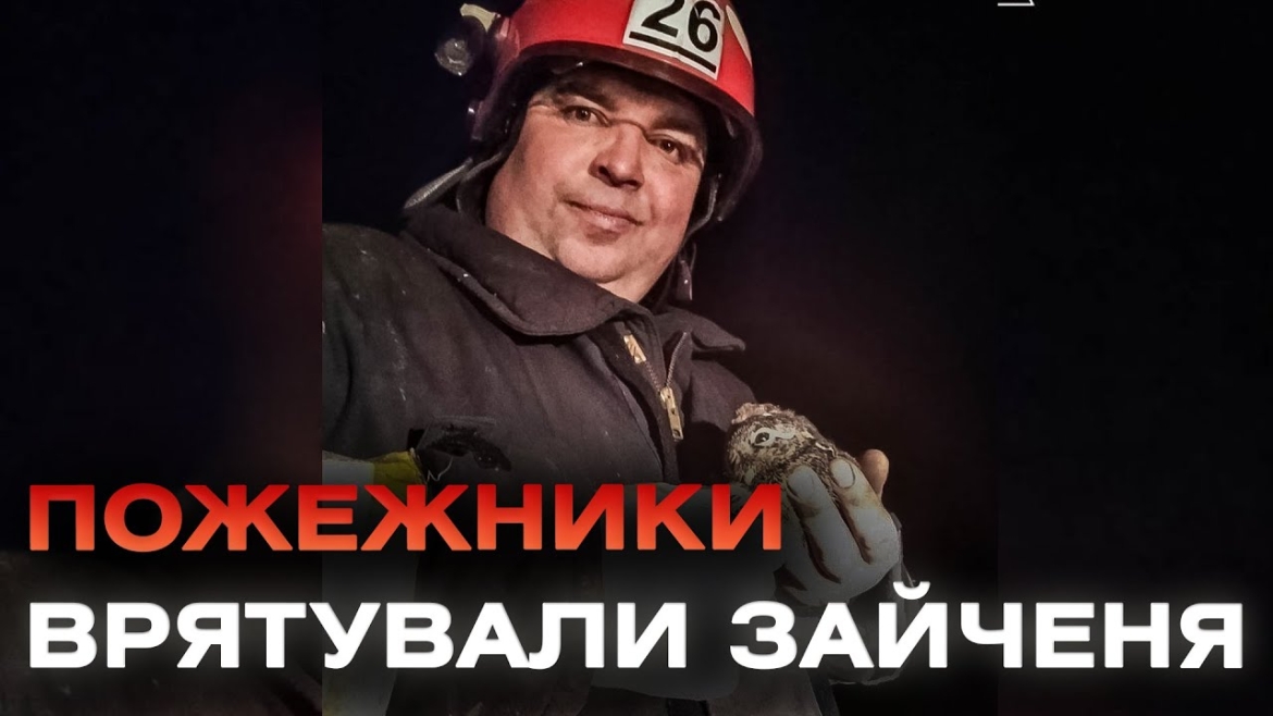 Embedded thumbnail for Врятували зайченя, яке ледь не загинуло через підпалену траву на Вінниччині