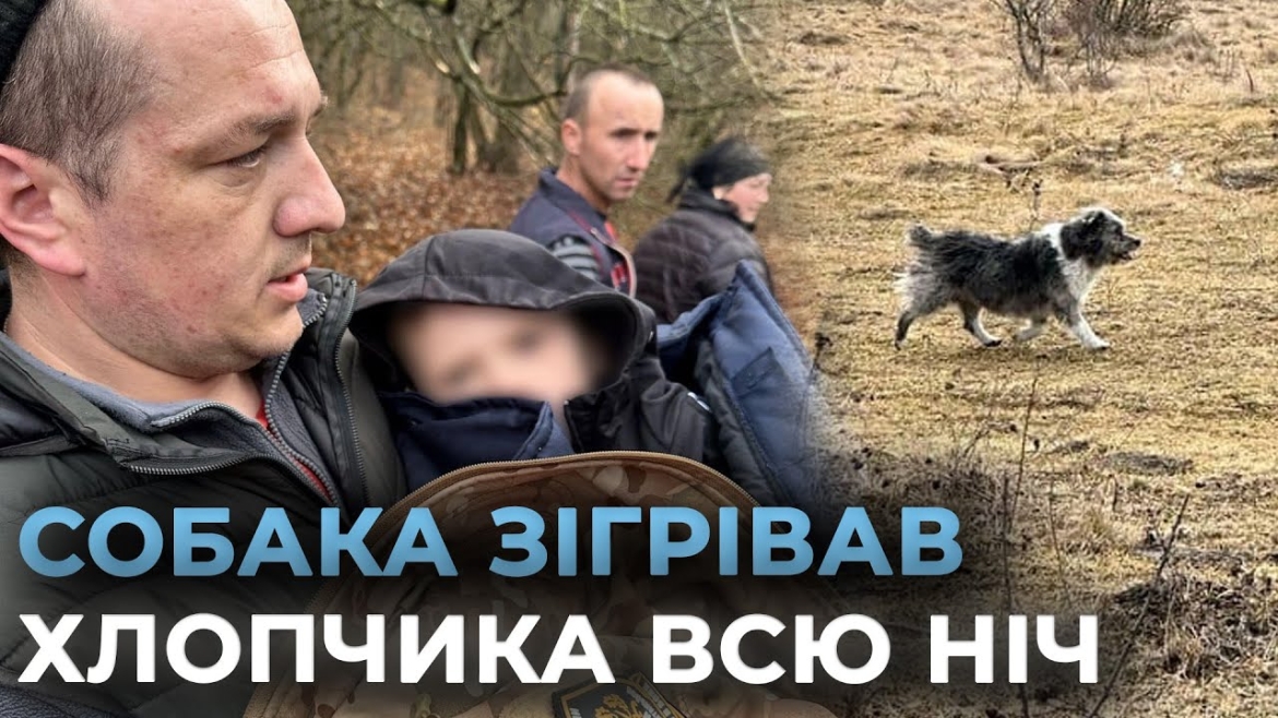 Embedded thumbnail for Понад 300 людей розшукували трирічну дитину, яка загубилась на Вінниччині