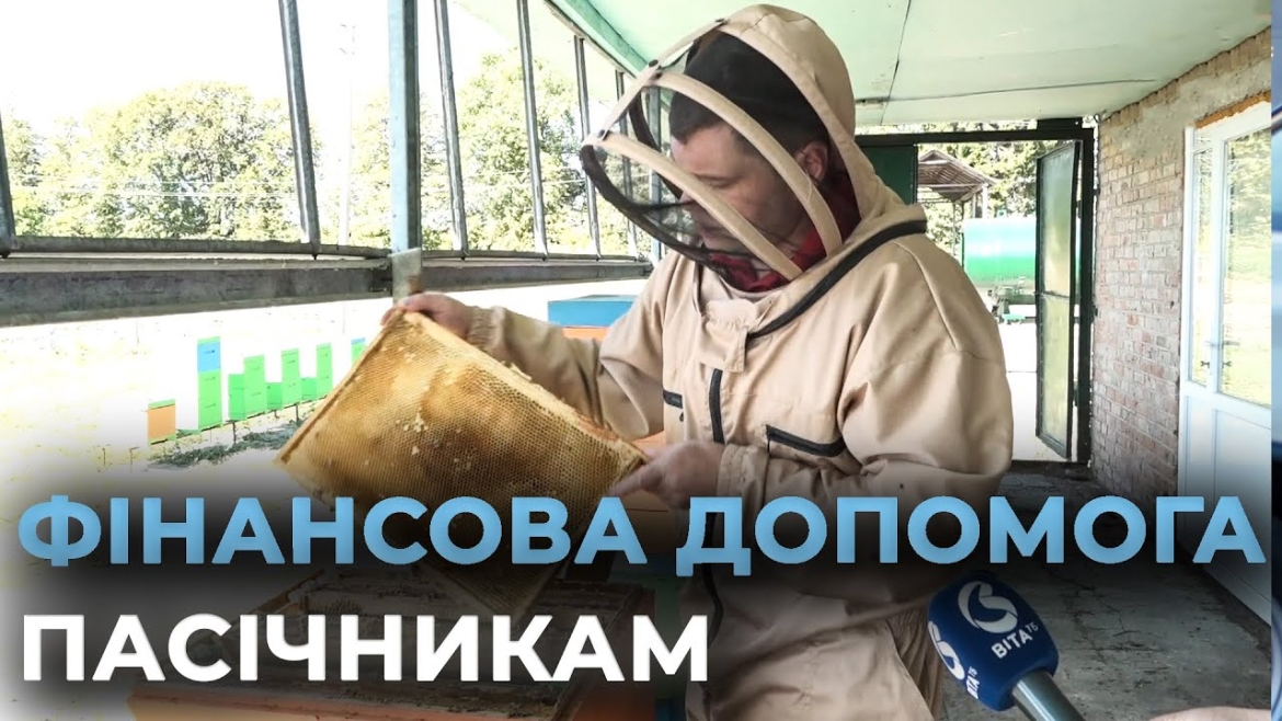 Embedded thumbnail for Третій рік поспіль у Вінниці реалізовують програму підтримки місцевих пасічників