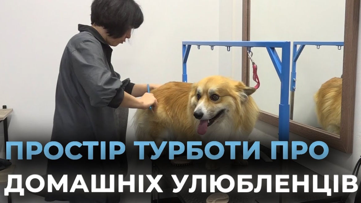 Embedded thumbnail for Ветеран відкрив зоопростір з соціальною місією у Вінниці