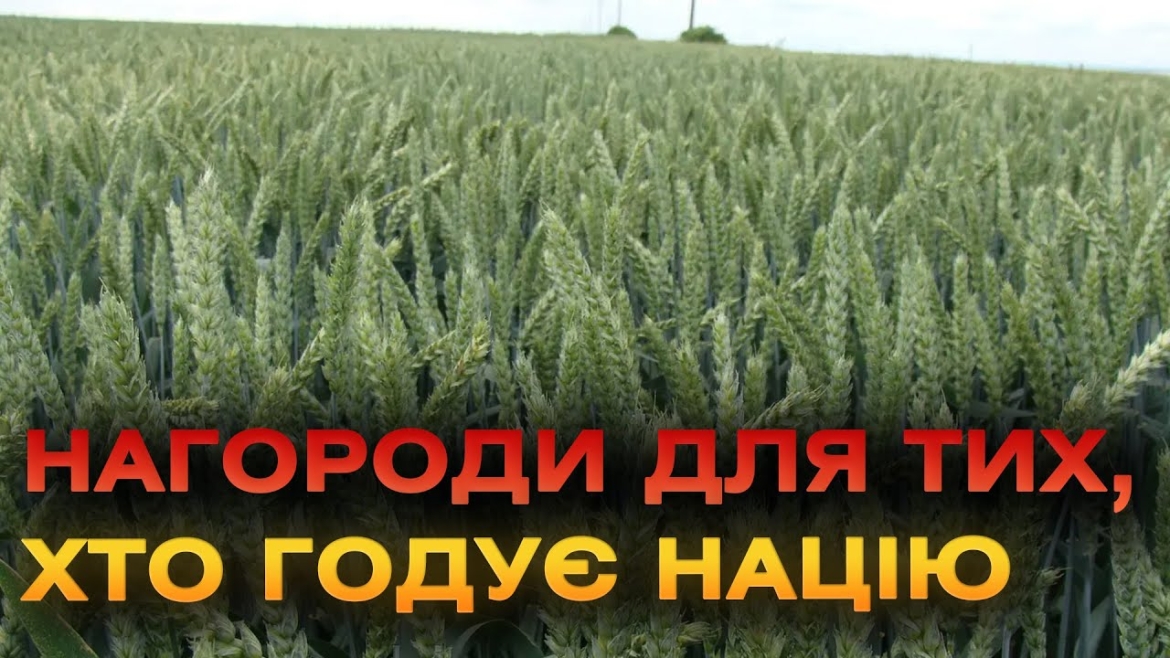 Embedded thumbnail for Вінницьких фермерів привітали з професійним днем