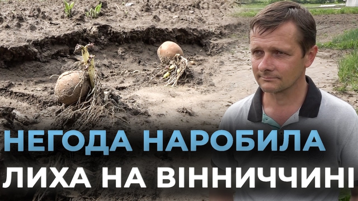 Embedded thumbnail for Дерево на зупинці та затоплені двори: стихія випробувала Вінниччину на міцність