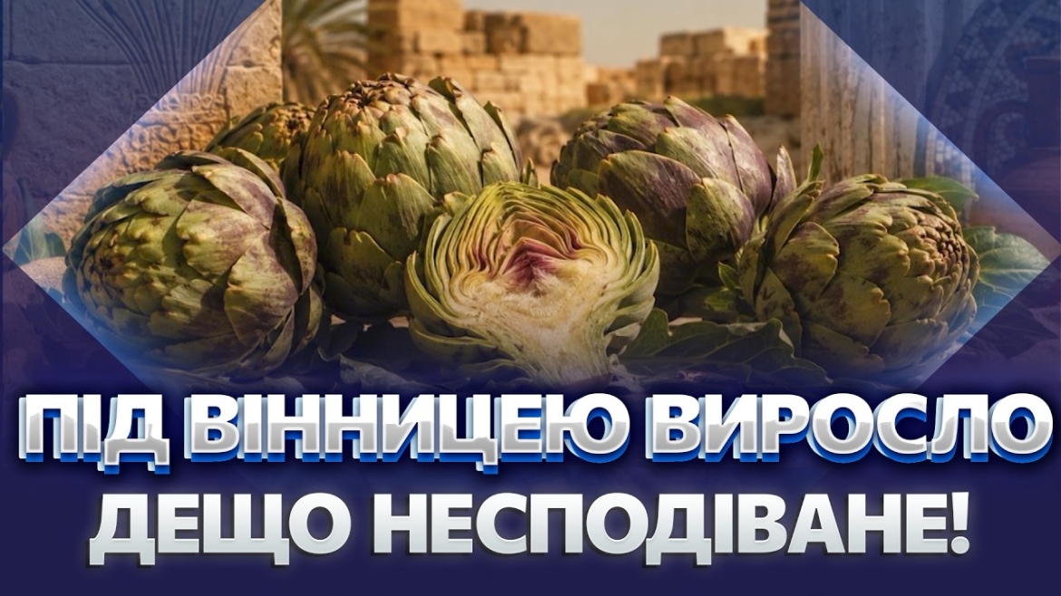 Embedded thumbnail for Фермер з Вінниччини отримав грант на популяризацію артишоку в Україні