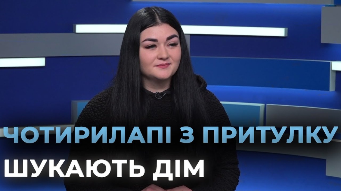 Embedded thumbnail for У Вінницькому муніципальному притулку 72 собаки чекають на родину