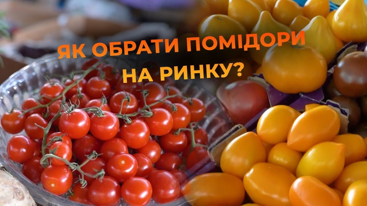 Embedded thumbnail for Як обрати свіжі та соковиті помідори на вінницькому ринку