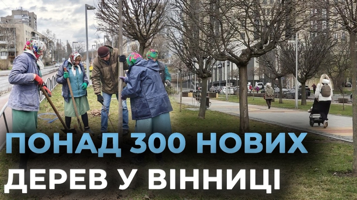 Embedded thumbnail for У Вінниці висадили тюльпанові дерева та пекінський бузок на проспекті Космонавтів