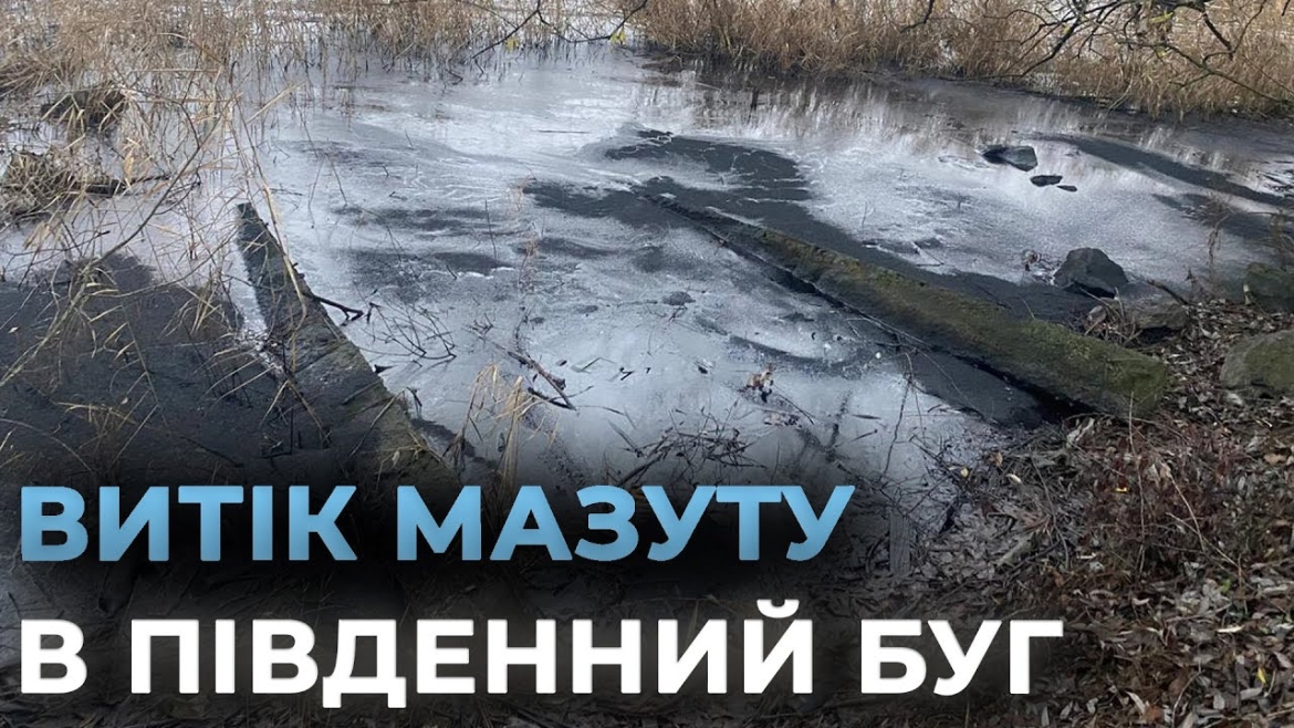 Embedded thumbnail for Ладижинське водосховище забруднене мазутом – триває розслідування