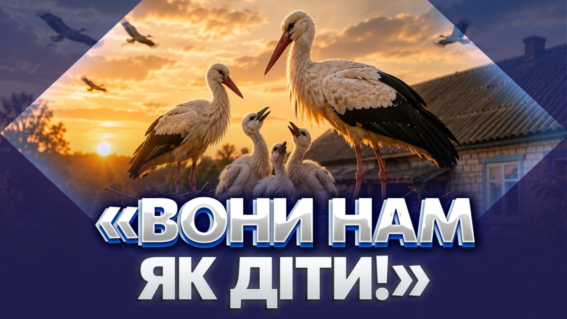 Embedded thumbnail for 22 роки пліч-о-пліч: неймовірна дружба вінницької родини з лелеками