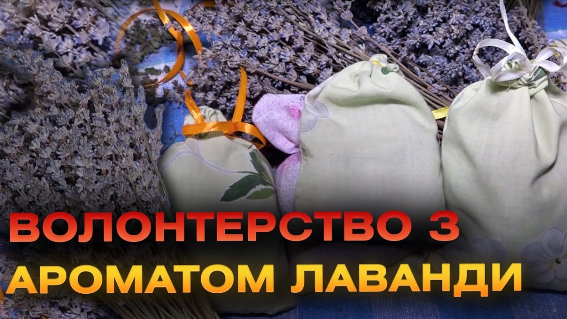 Embedded thumbnail for Ароматизовані мішечки для військових: вінничанка виготовляє арома подушечки з лавандою для фронту