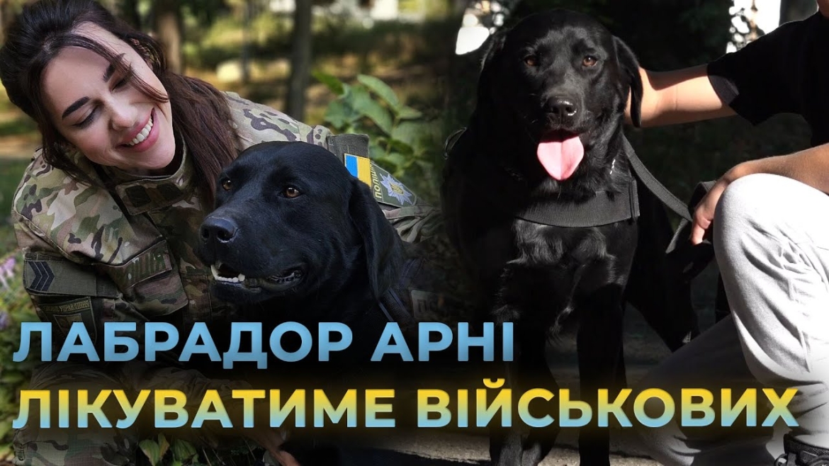 Embedded thumbnail for Вінницькі кінологи впроваджують каністерапію щодо реабілітації поранених захисників