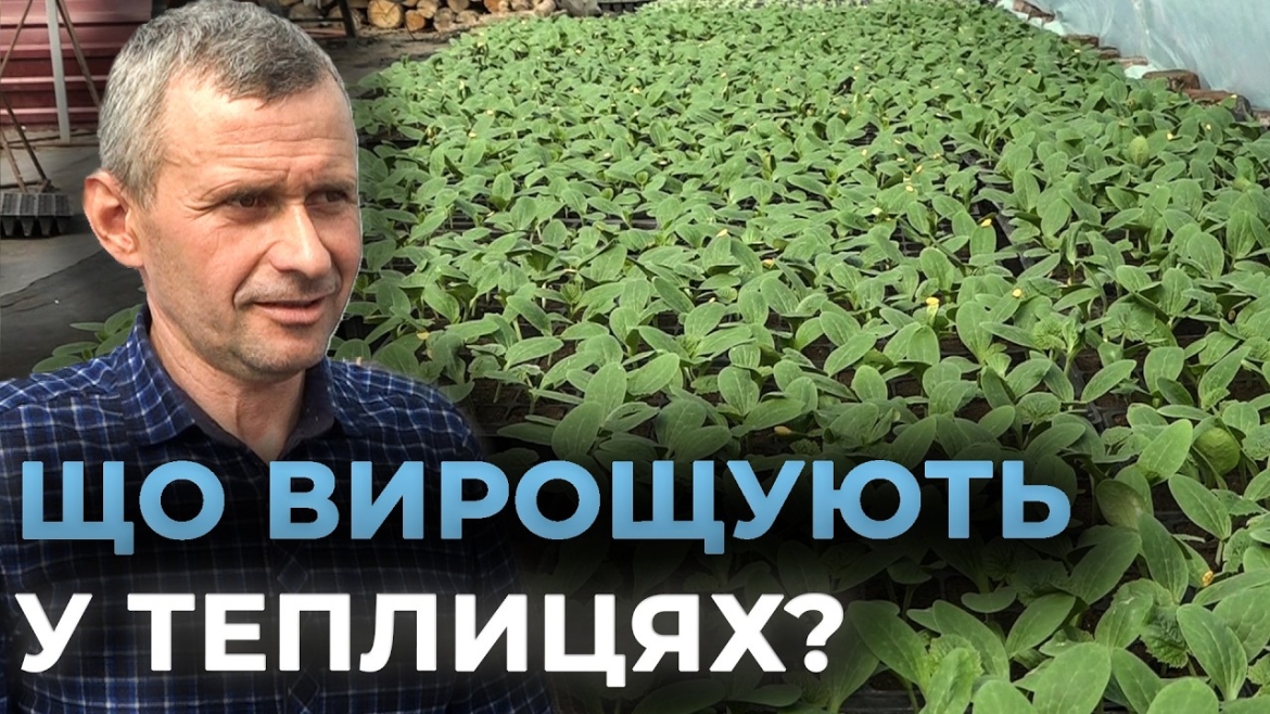Embedded thumbnail for Як вінницькі фермери готуються до нового овочевого сезону