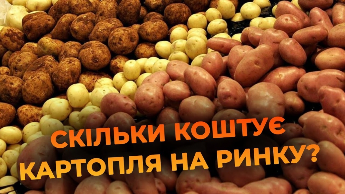 Embedded thumbnail for Ціна на картоплю на вінницьких ринках за рік підвищилась