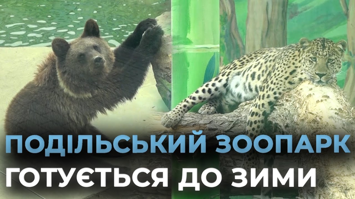 Embedded thumbnail for У вінницькому &quot;Подільському зоопарку&quot; триває підготовка до холодного сезону