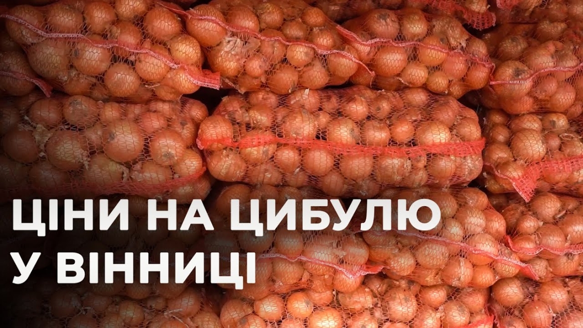 Embedded thumbnail for Цибуля на вінницькому ринку: актуальні ціни, як правильно обрати та як зберігати
