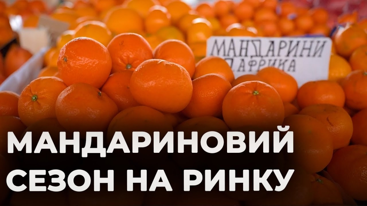 Embedded thumbnail for Скільки коштують мандарини на ринку у Вінниці та як вибрати кращі