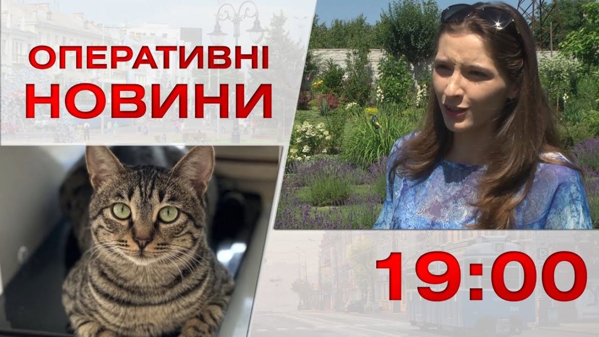 Embedded thumbnail for Оперативні новини Вінниці за 7 липня 2023 року, станом на 19:00