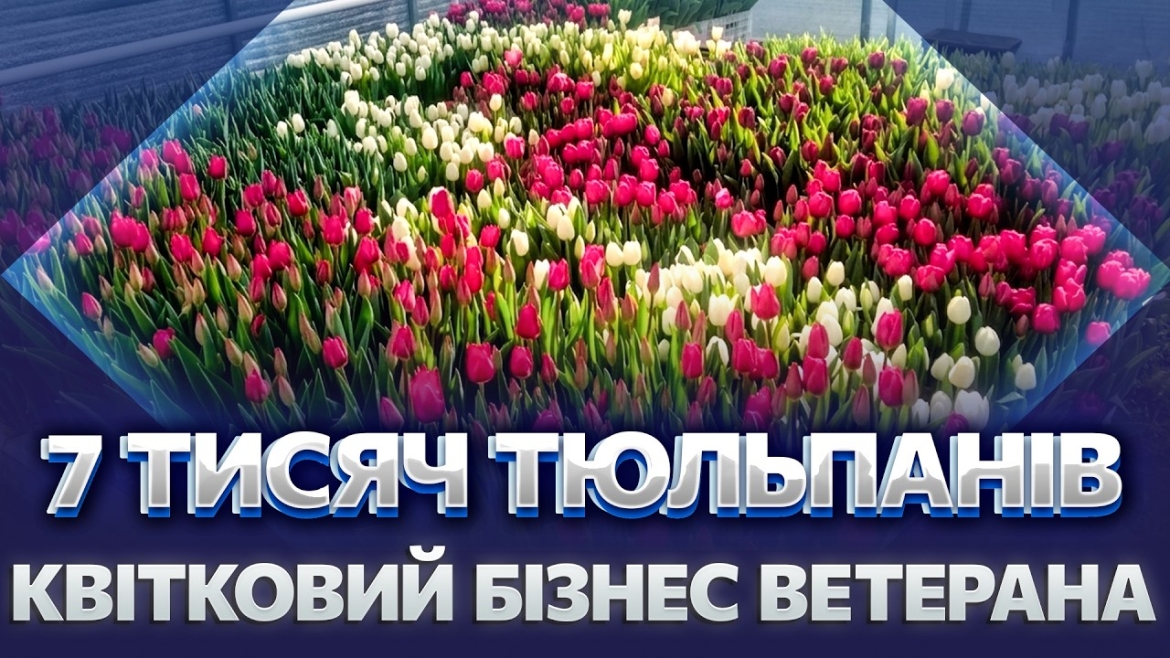 Embedded thumbnail for Ветеран ЗСУ створив бізнес з нуля: вінничани закохались у його тюльпани