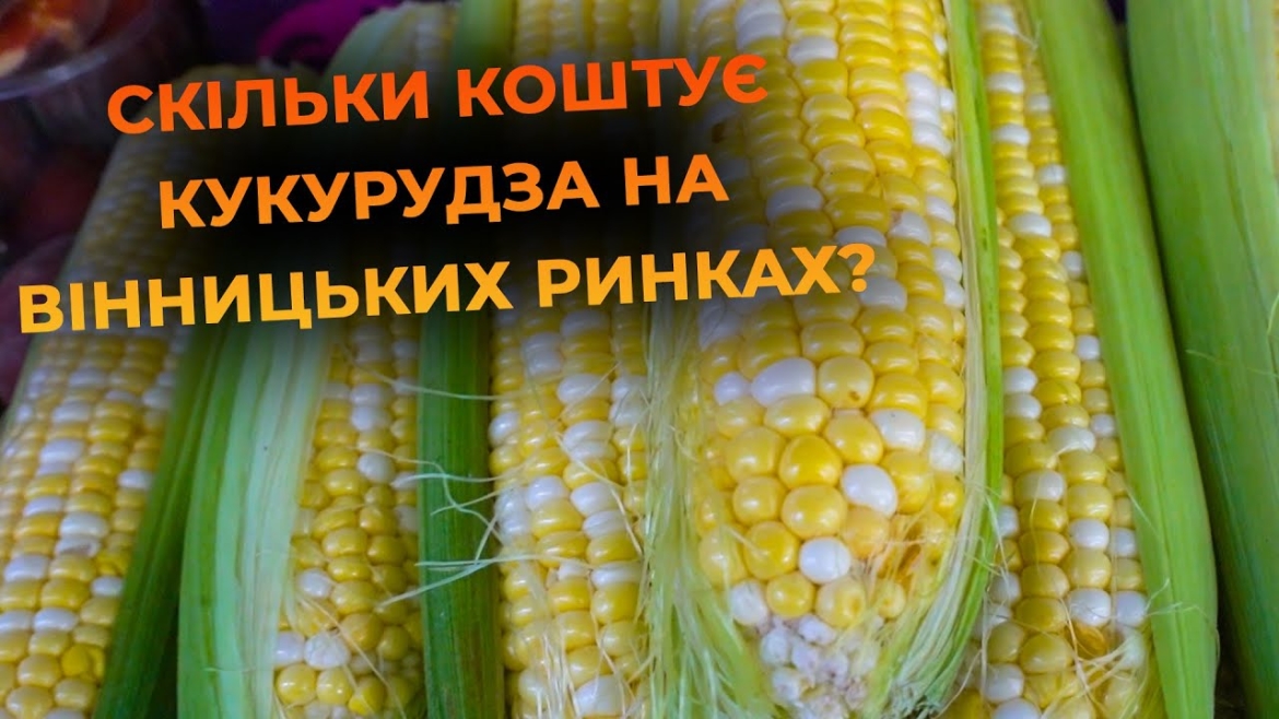 Embedded thumbnail for У Вінниці вже продають кукурудзу на ринках: ціни можуть здивувати