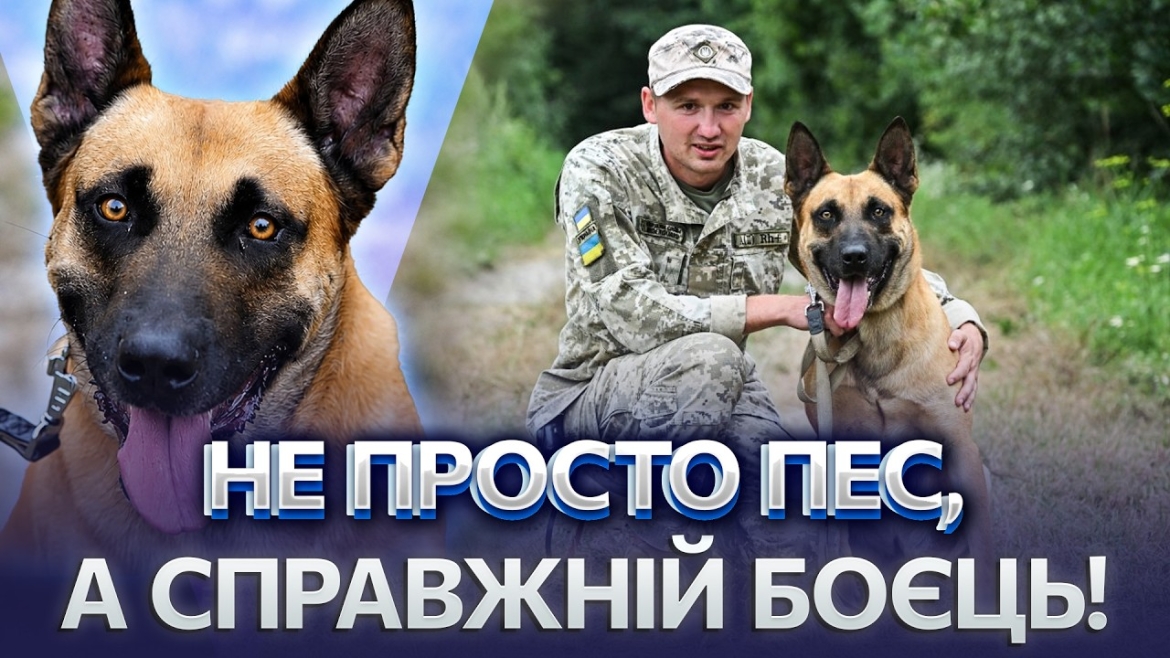 Embedded thumbnail for Кинув Європу заради служби: історія прикордонника та його вірного пса Корда