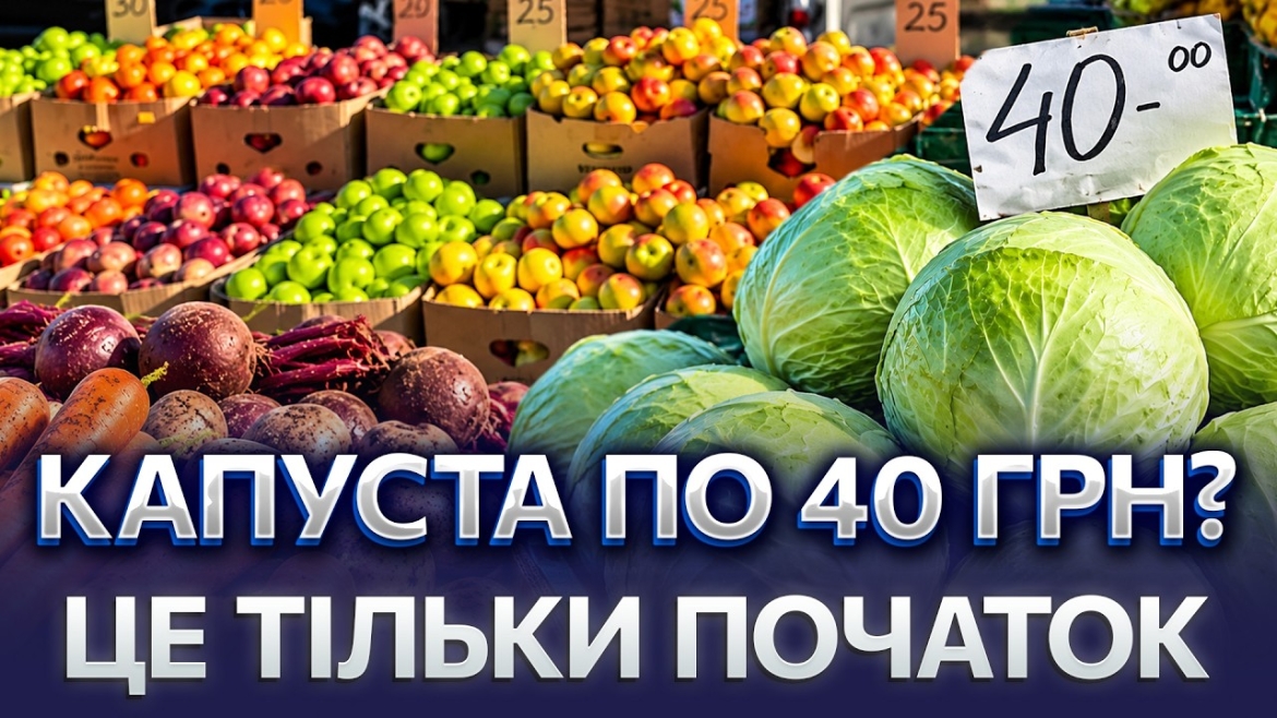 Embedded thumbnail for Економія до 30% на «борщовому наборі»: де вінничани купують овочі дешевше, ніж у супермаркетах