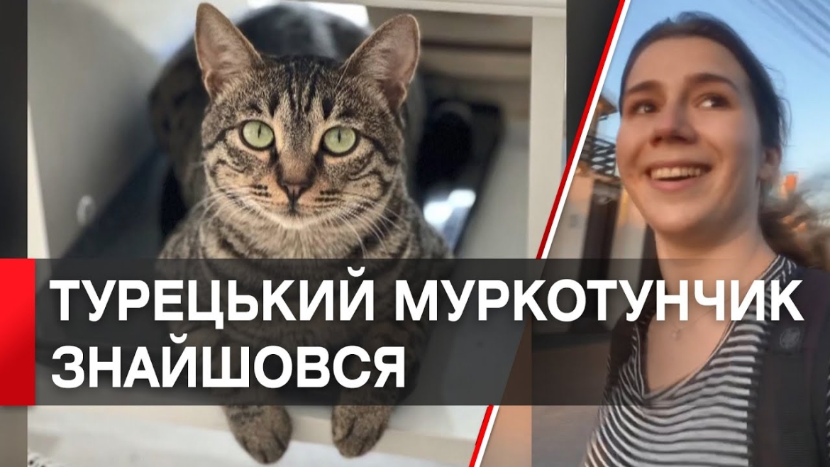 Embedded thumbnail for Зниклого турецького кота Чорапа прихистила родина із Зарванців