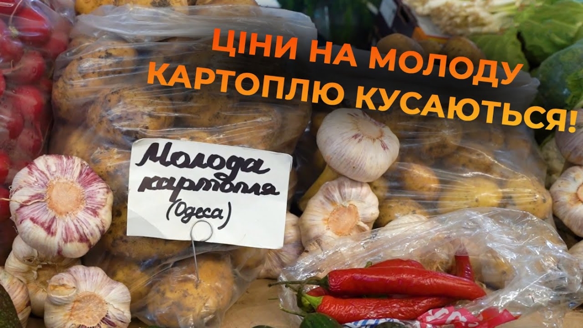 Embedded thumbnail for На вінницьких ринках з&#039;явилась молода картопля: як обрати та приготувати