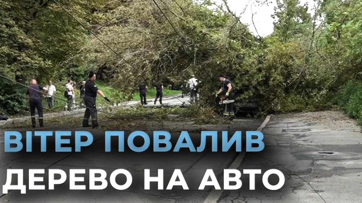 Embedded thumbnail for На Вінниччині негода валила дерева на дороги, авто та гаражі