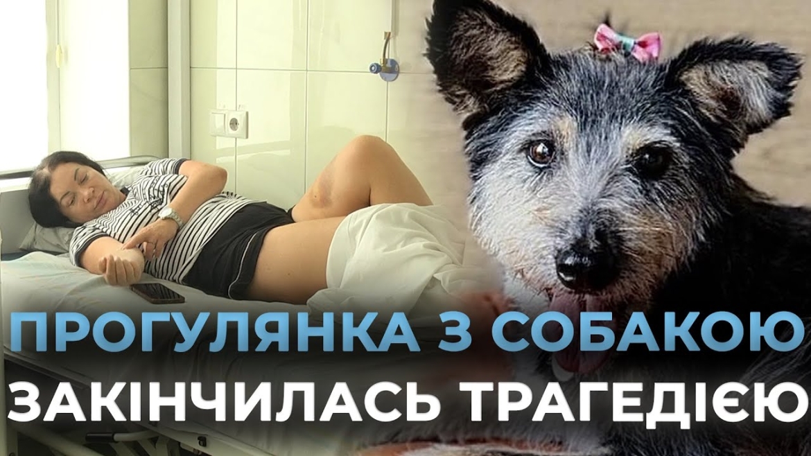 Embedded thumbnail for У Зарванцях собака породи акіта загризла хворого песика на очах у його господарки