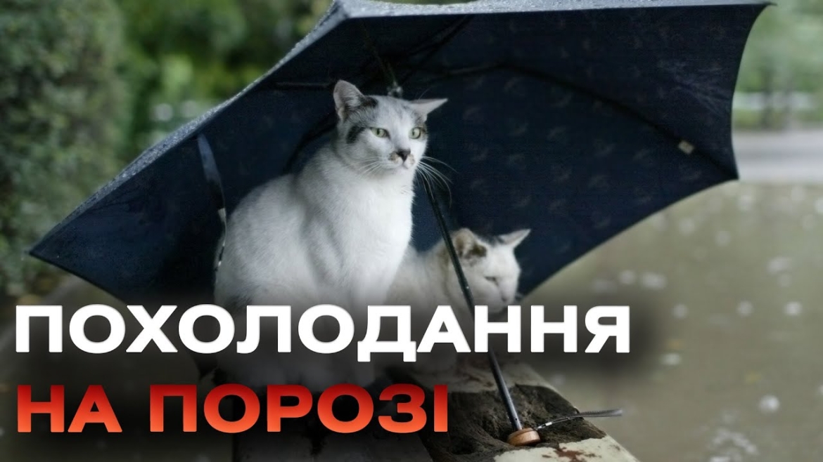 Embedded thumbnail for У Вінниці 4 вересня синоптики обіцяють короткочасний дощ