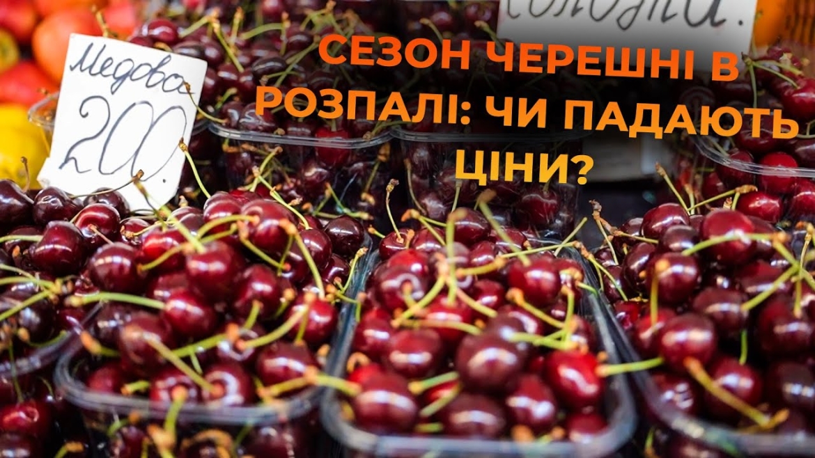 Embedded thumbnail for На ринках Вінниці справжній черешневий бум: звідки везуть і чи росте попит на ягоди