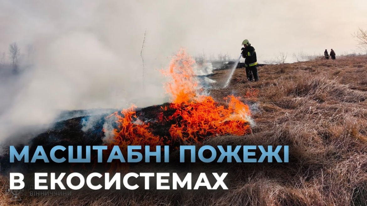 Embedded thumbnail for На Вінниччині лише протягом однієї доби зафіксували 68 пожеж в екосистемах