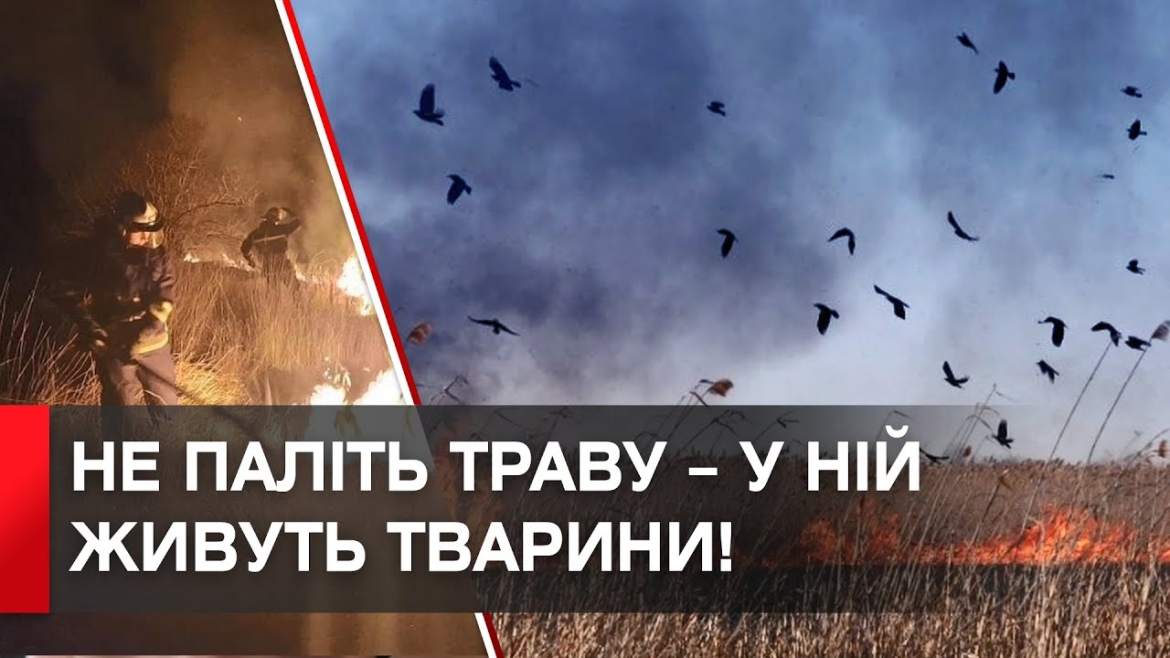 Embedded thumbnail for В яку копійку жителям Вінниччини влетить спалювання сухостою та трави