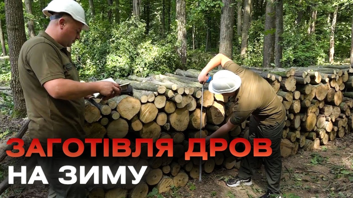 Embedded thumbnail for Готуй сани з літа: у Вінницькому лісовому господарстві кипить робота із заготівлі дров