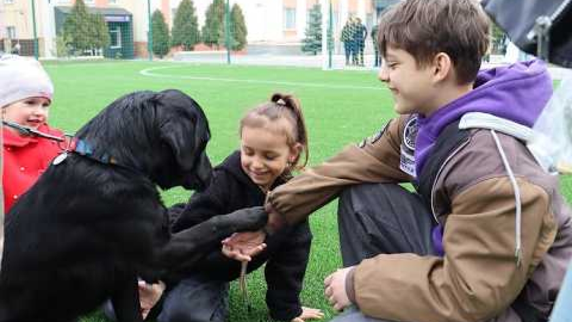 Embedded thumbnail for У Вінниці влаштували зустріч для дітей, батьки яких загинули, зникли, або поранені на війні