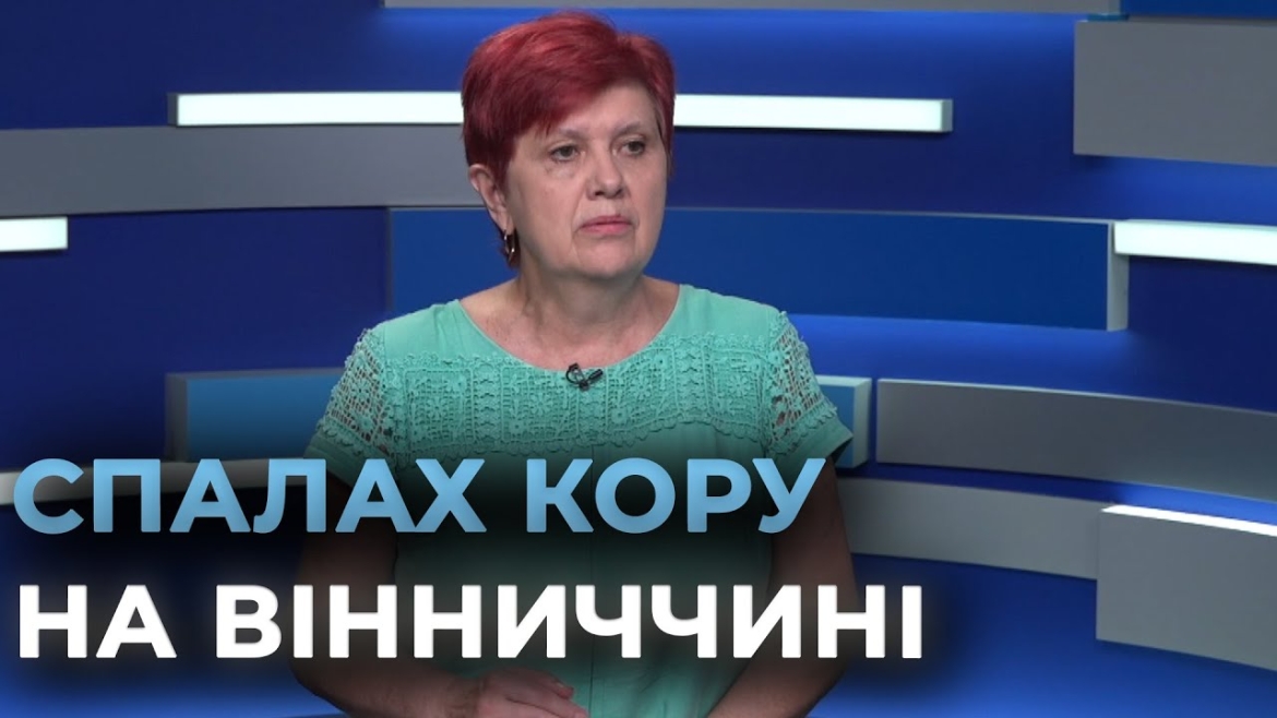 Embedded thumbnail for Понад 200 випадків захворювання на кір афіксували на Вінниччині від початку року
