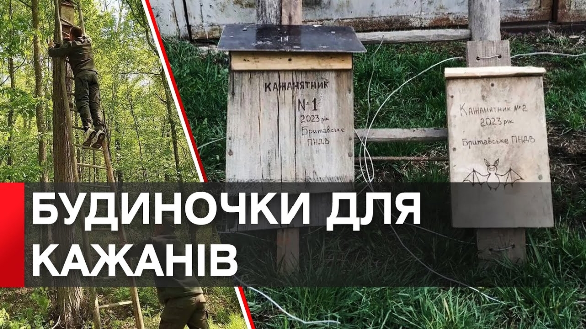 Embedded thumbnail for У заповіднику на Вінниччині встановлюють хатинки для кажанів