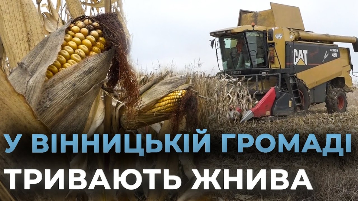 Embedded thumbnail for Вінницькі аграрії вже зібрали близько 80% пізніх культур, триває молотьба кукурудзи
