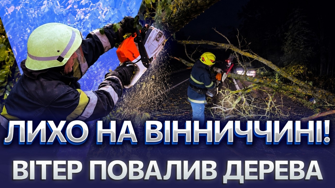 Embedded thumbnail for Повалені дерева перекрили дороги у трьох громадах і Вінниці: рятувальники розчищали проїзд