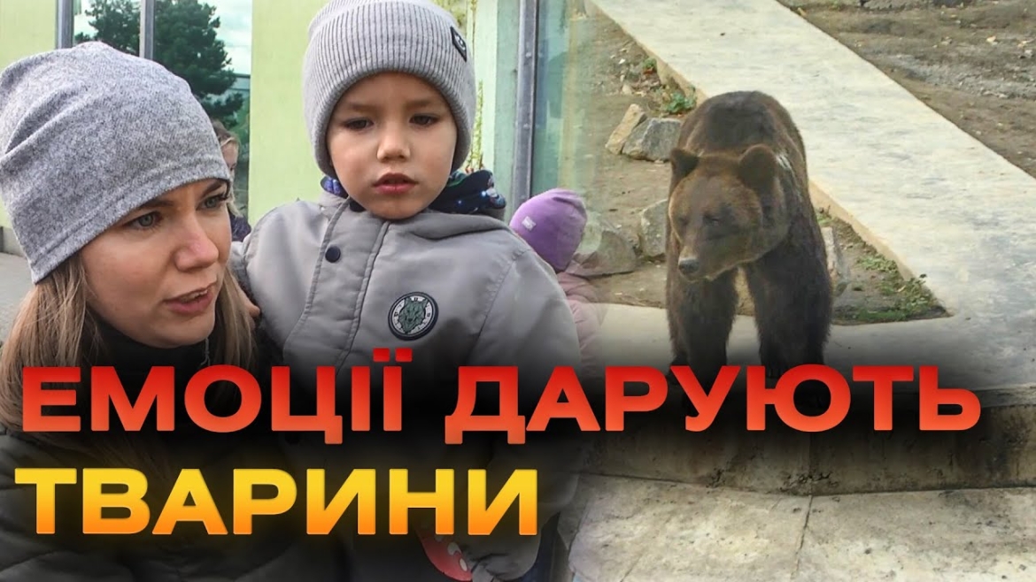 Embedded thumbnail for На екскурсію до зоопарку вирушили понад півсотні дітлахів з  Вінницької області