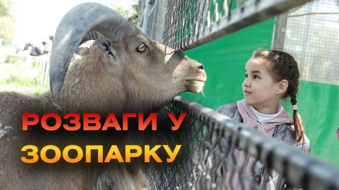 Embedded thumbnail for Гумштаб організував черговий похід до зоопарку для дітей Вінницької громади