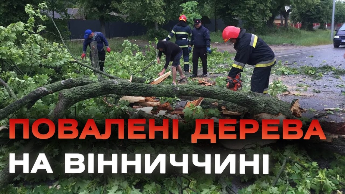 Embedded thumbnail for У трьох районах Вінниччини повалені вітром дерева перекрили автошляхи