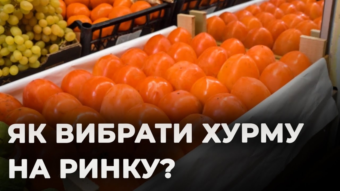 Embedded thumbnail for Хурма, шарон і корольок: обираємо найстигліші плоди на вінницькому ринку