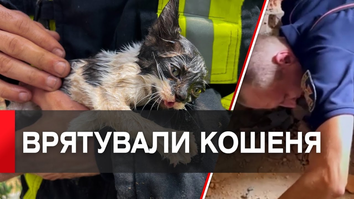 Embedded thumbnail for Рятувальники у Вінниці розібрали стіну будівлі, щоб витягти кошеня