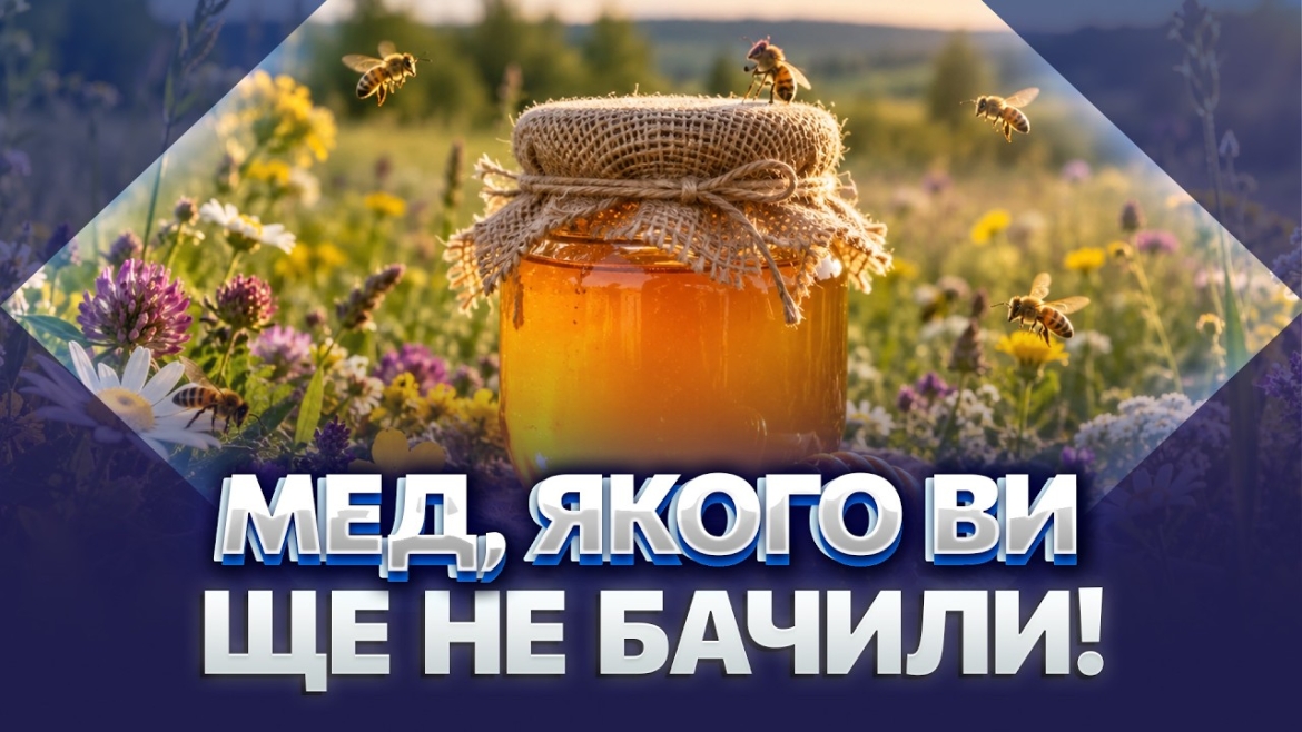 Embedded thumbnail for Закам'яніле дерево віком у тисячі років стало експонатом мінімузею бджільництва на Вінниччині