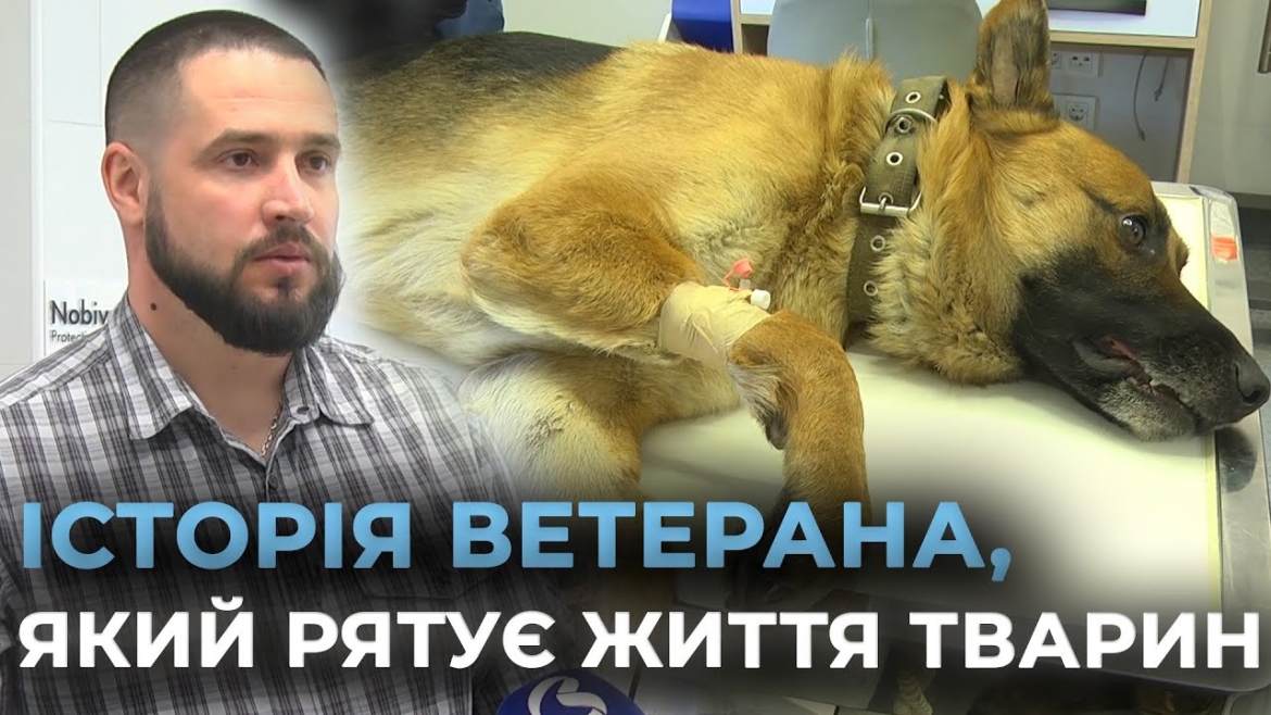 Embedded thumbnail for Повернувся з війни та рятує життя тварин: історія вінницького ветерана