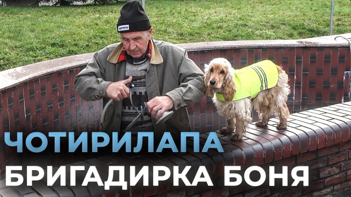 Embedded thumbnail for Як кокер-спанієль "допомагає" господарю доглядати вінницькі фонтани