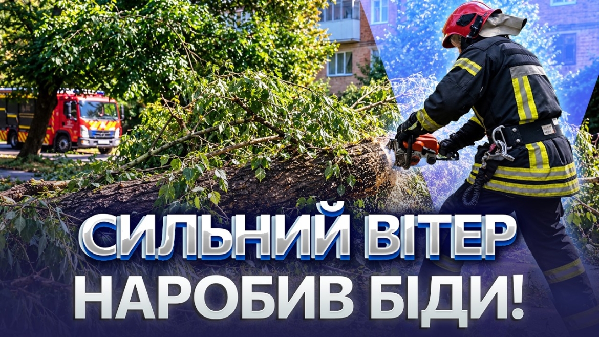 Embedded thumbnail for Шість виїздів за добу: рятувальники Вінниччини розчищали дороги від повалених дерев