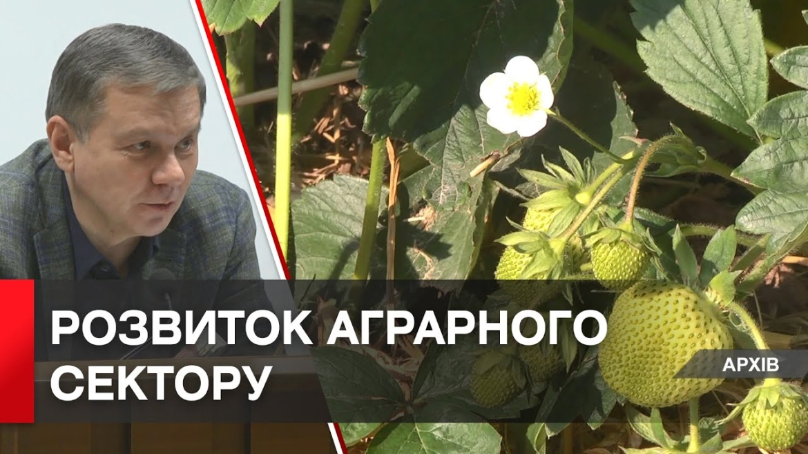 Embedded thumbnail for У Вінниці затвердили Програму розвитку аграрного сектору на три роки